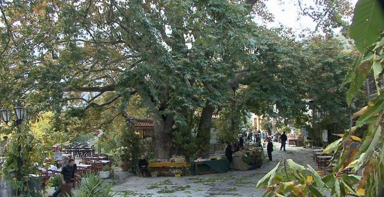 20η Γιορτή Κάστανου στην Άρνα – Από την Παρασκευή 24 Οκτωβρίου οι τριήμερες εκδηλώσεις – Το αναλυτικό πρόγραμμα