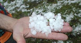 Ανακοίνωση ΕΛΓΑ για υποβολή δηλώσεων ζημιάς από ΧΑΛΑΖΙ 28/5 στις κοινότητες ΚΑΡΥΩΝ και ΒΑΡΒΙΤΣΑΣ