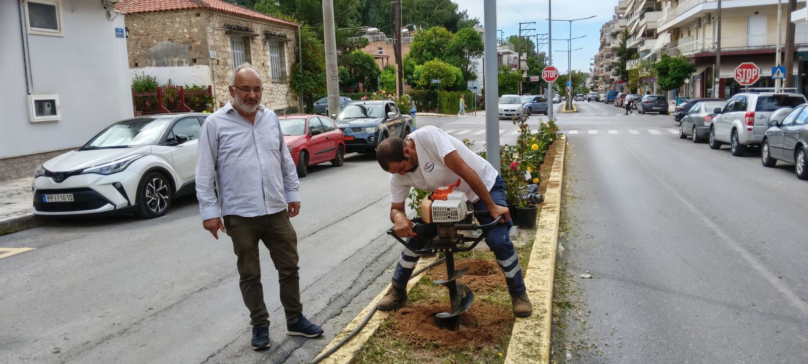 Με άρωμα και περισσότερο χρώμα η νησίδα της οδού Αρχιδάμου – Συνεχίζονται οι φυτεύσεις από την Υπηρεσία Πρασίνου