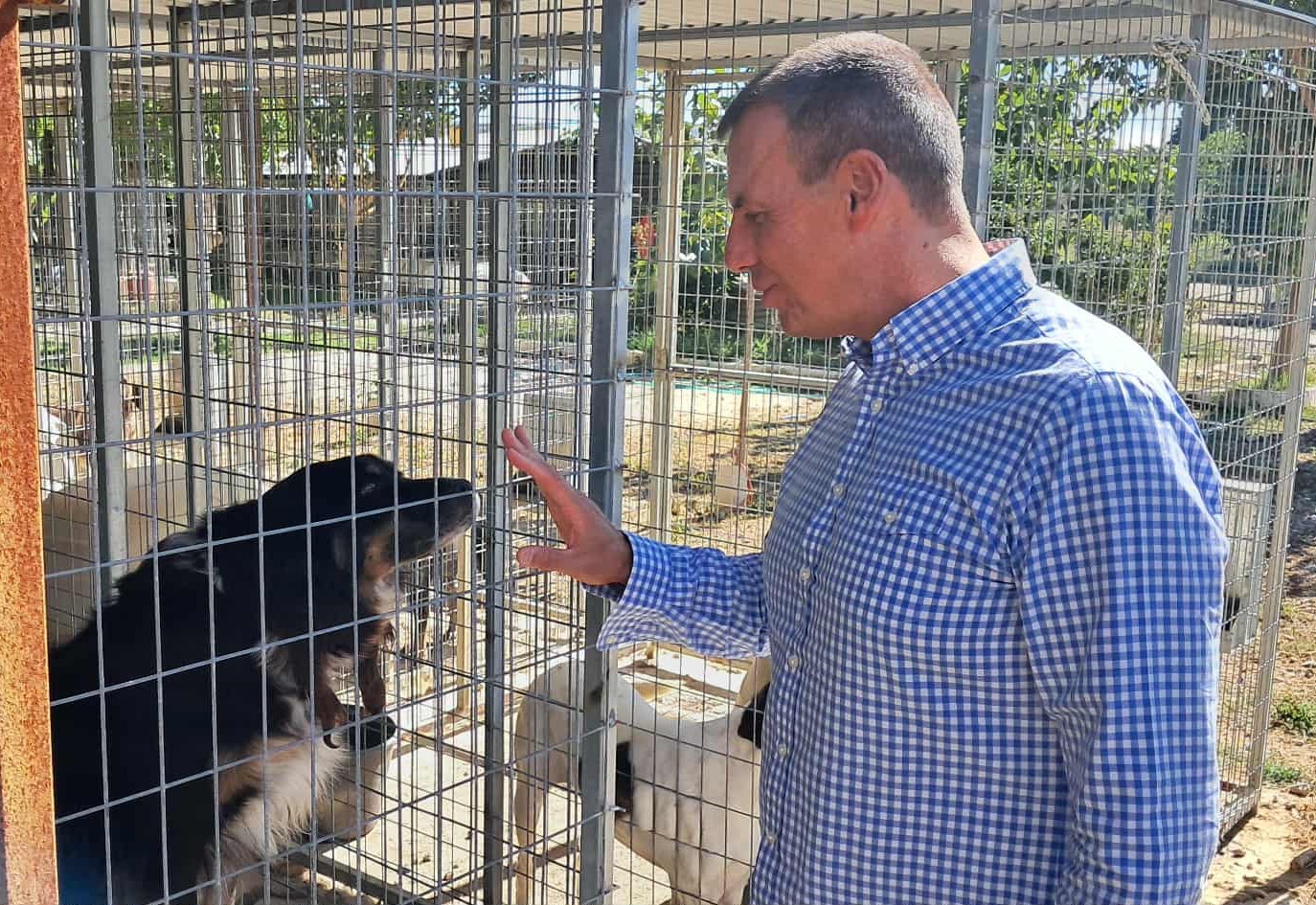 Μήνυμα του Δημάρχου Σπάρτης, Μιχάλη Βακαλόπουλου, με αφορμή την Παγκόσμια Ημέρα Αδέσποτων Ζώων