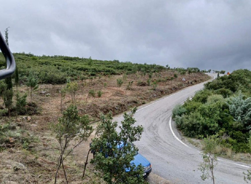 Ενίσχυση της Πυροπροστασίας κατοικημένων περιοχών του Δήμου Σπάρτης με τη δημιουργία 18 Αντιπυρικών Ζωνών