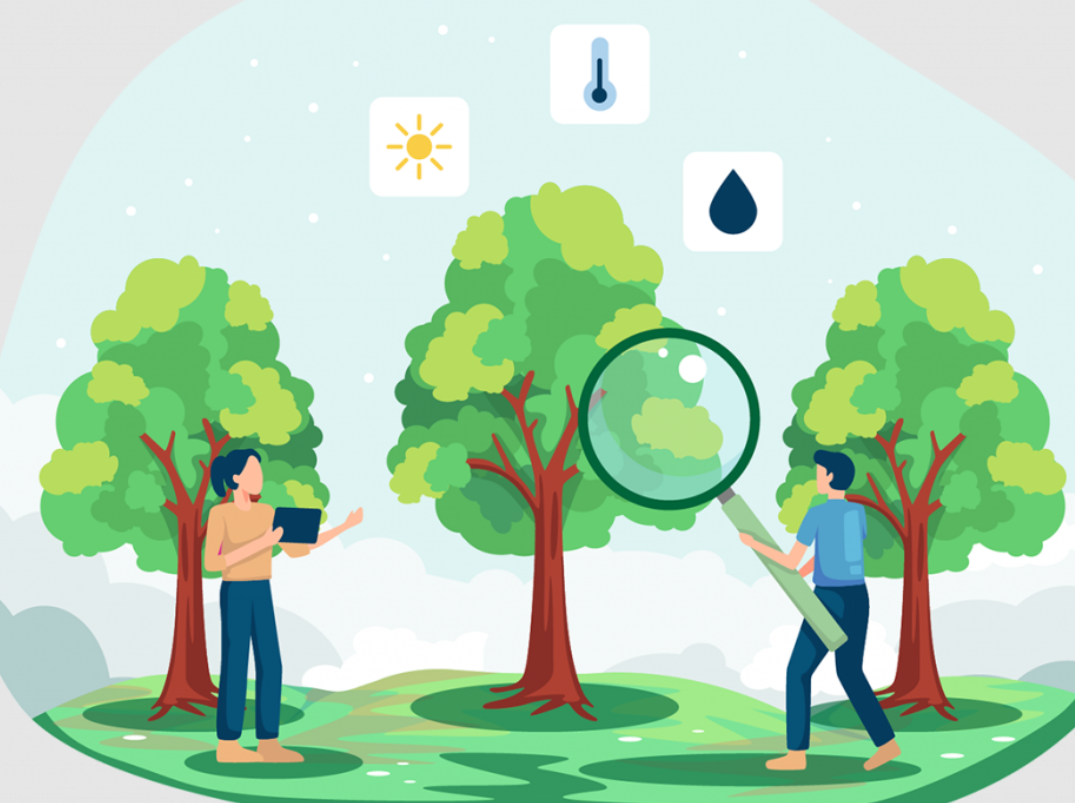 Ενημερωτική εκδήλωση για την πρόγνωση του κινδύνου ζημιών από παγετό στα εσπεριδοειδή 