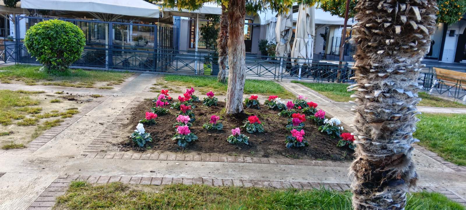 Εργασίες καλλωπισμού και φυτεύσεις σε Κεντρική Πλατεία και Λυκούργου – Συνεχείς παρεμβάσεις της Υπηρεσίας Πρασίνου σε Πάρκο ΟΤΕ και Παλαιολόγου για μια όμορφη πόλη 