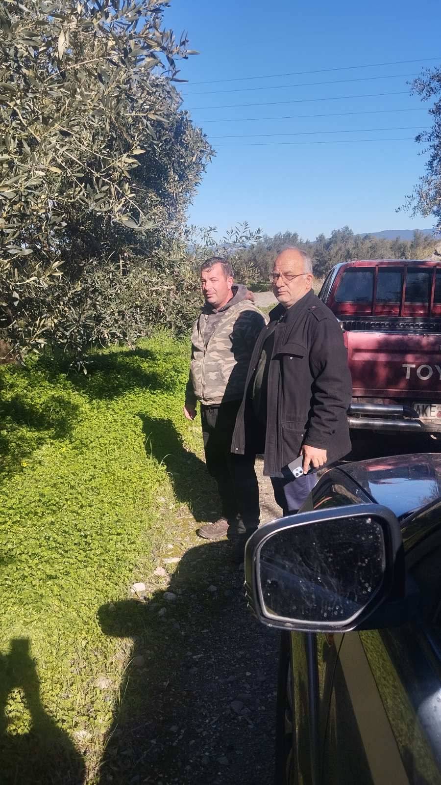 Ολοκλήρωση ελέγχου από κλιμάκιο ΕΛΓΑ για τις ζημιές πρόσφατης κακοκαιρίας (ανεμοθύελλας) – Το επόμενο διάστημα η υποβολή δηλώσεων