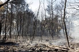 Ανακοίνωση (αναβολή εκδηλώσεων)