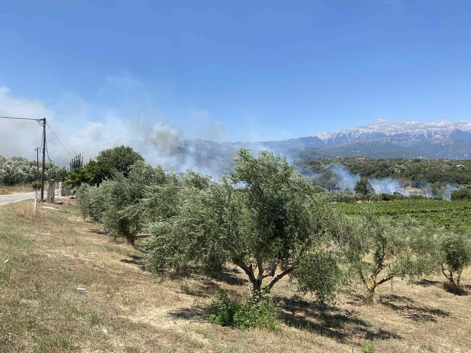 Έκκληση Βαγιακάκου για επαγρύπνηση και ευχαριστίες σε όσους βοήθησαν στην κατάσβεση των πυρκαγιών στην Δ.Ε. Φάριδος