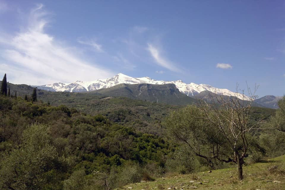 Τηλεδιάσκεψη με θέμα " Στρατηγική Ολοκληρωμένων Χωρικών Επενδύσεων (ΟΧΕ) για την περιοχή του Ταϋγέτου"