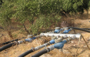 Πρόσκληση υποβολής αιτήσεων για την πρόσληψη υδρονομέων άρδευσης σε Δημοτικές Ενότητες του Δήμου Σπάρτης